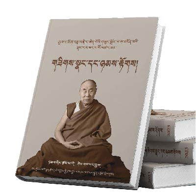 གཟིགས་སྣང་དང་ཉམས་རྟོགས།