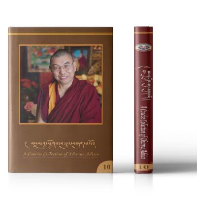 A Concise Collection of Dharma Advice